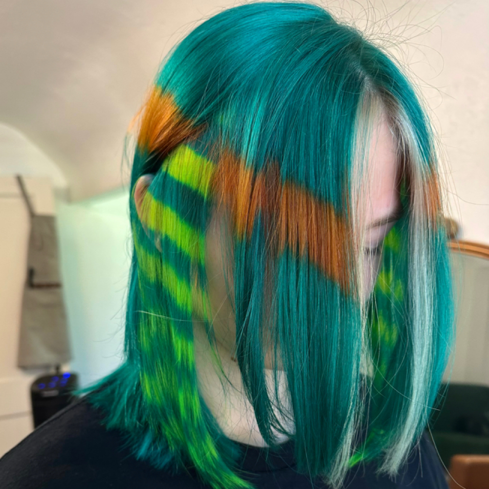 6 Hour Color Service at Jordan the Hair Fairy in Tallahassee, FL