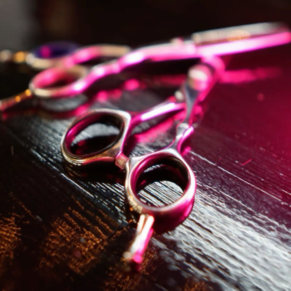 Wash, Cut, Blowdry & Style at Hair by Riley Nettles in Saluda, SC