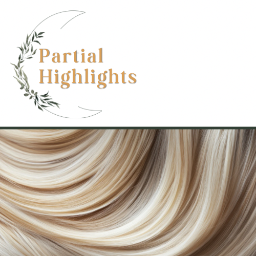 Partial Highlights at Mimosa & Moonshine Hair Lounge in Annandale, NJ