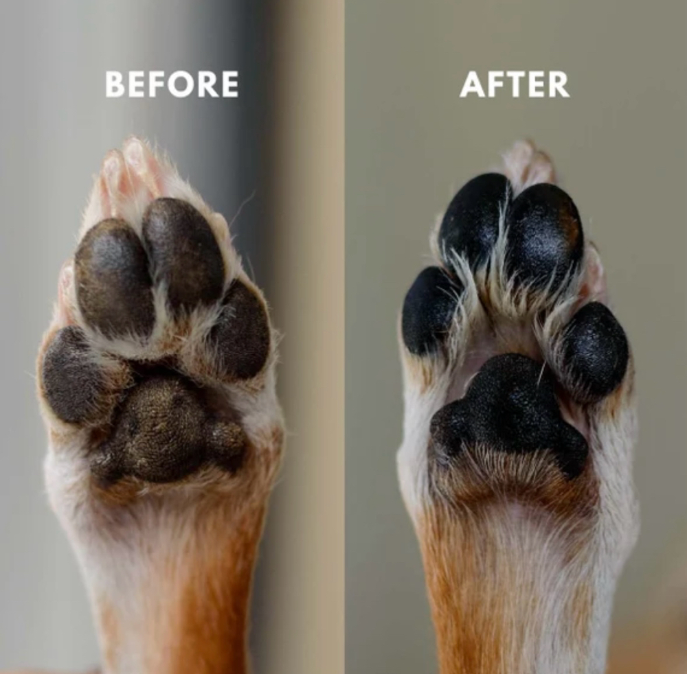 Paw And Nose Balm Treatment