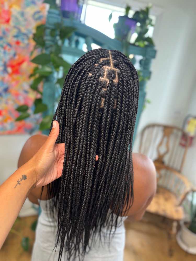 Small Medium Knotless Box Braids