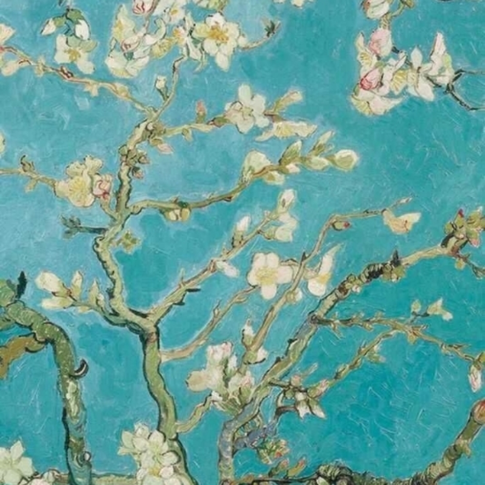 All Over Blonding(bleach And Tone)