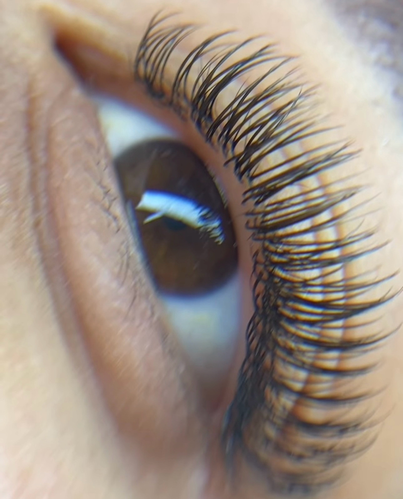 New Client Classic Lash Extensions