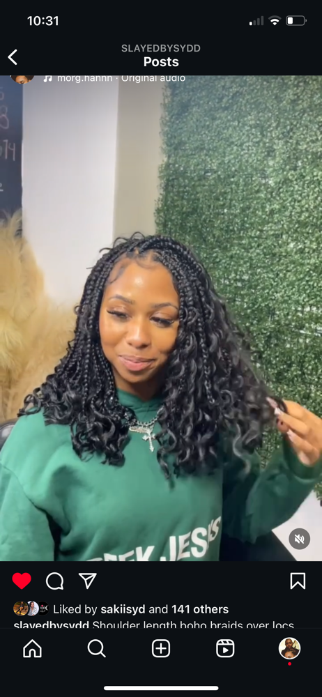 Braids (over Locs)