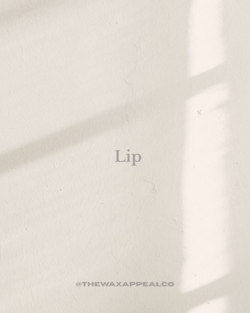 Lip
