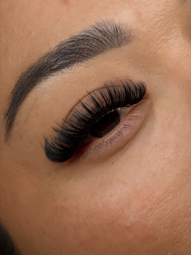 Wispy Hybrid at Jnbeautyy_ in Donna, TX