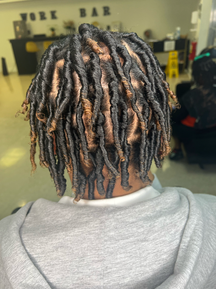 Starter Locs