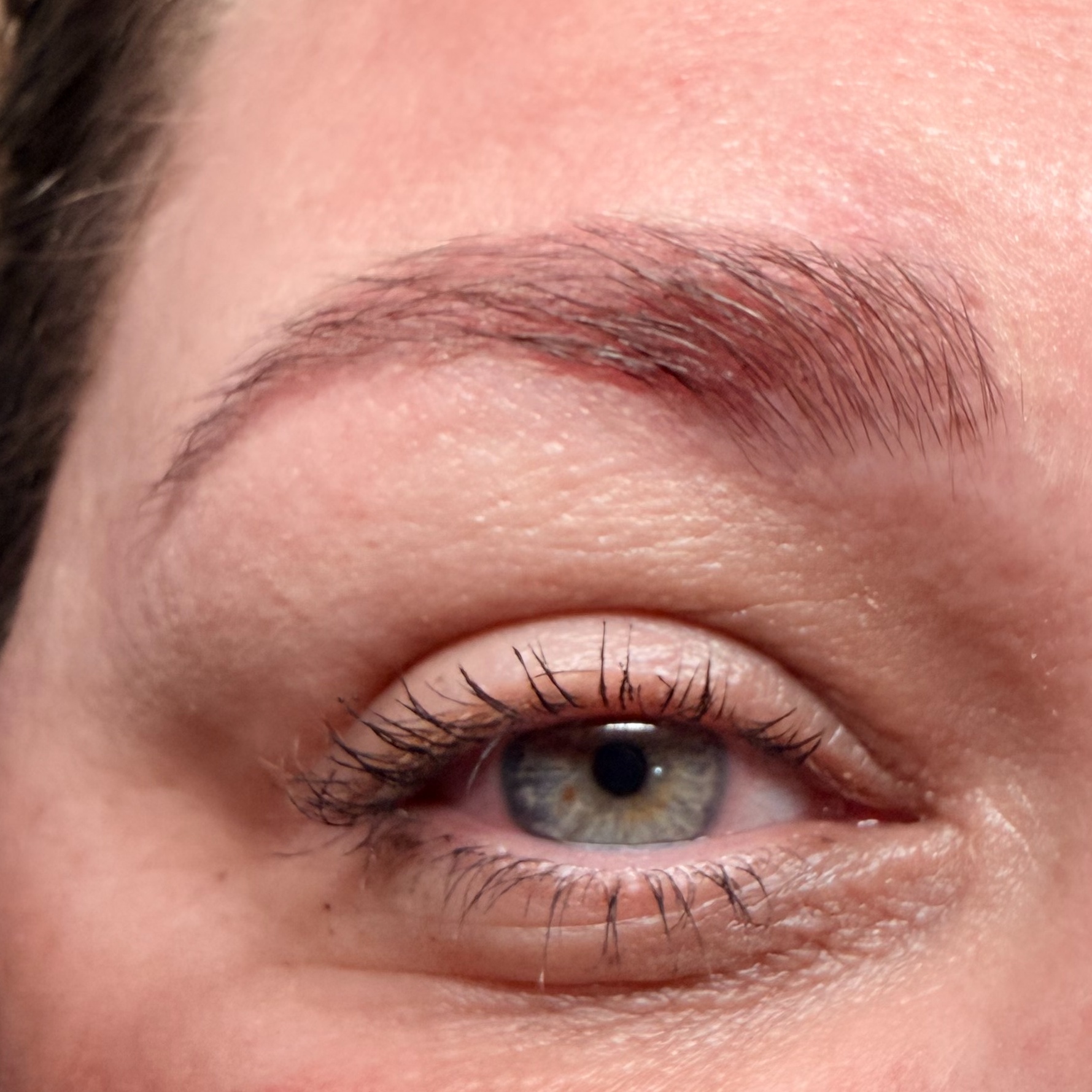 Brow Tint at Fields Beauty and Wellness in Bradenton, FL