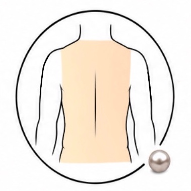 Men: Back Wax at Mostique Waxing in Orlando, FL