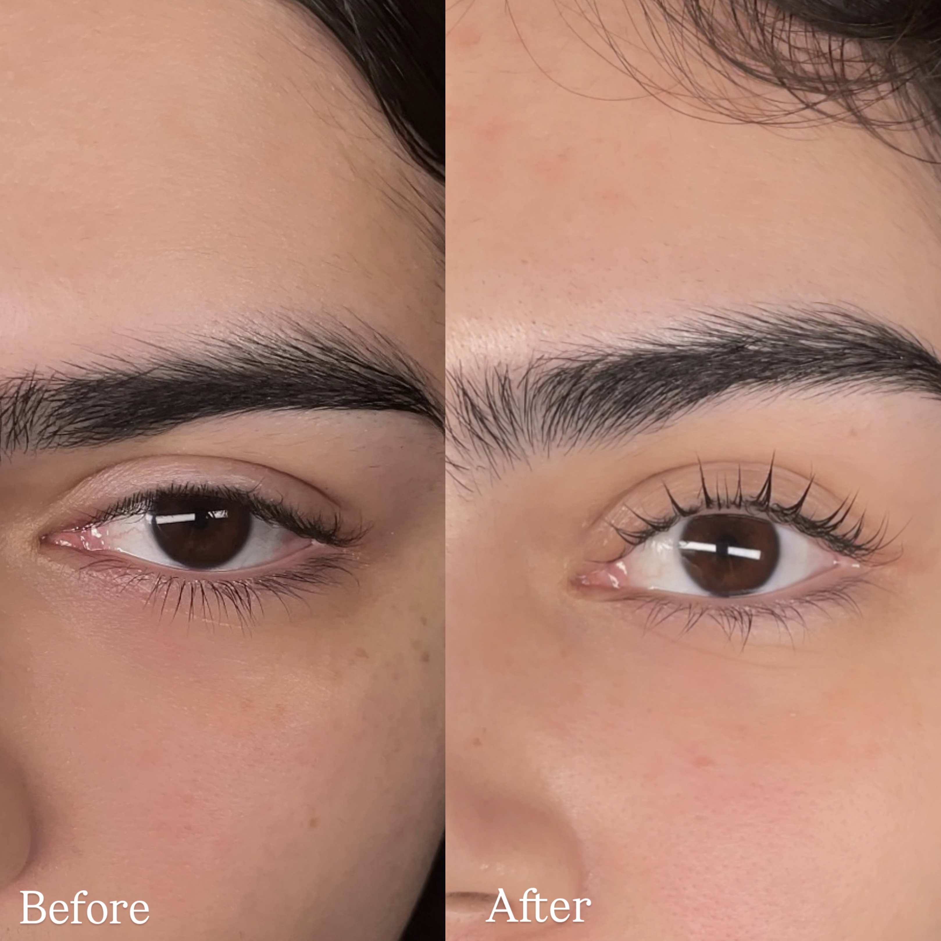 Lash lift & Tint