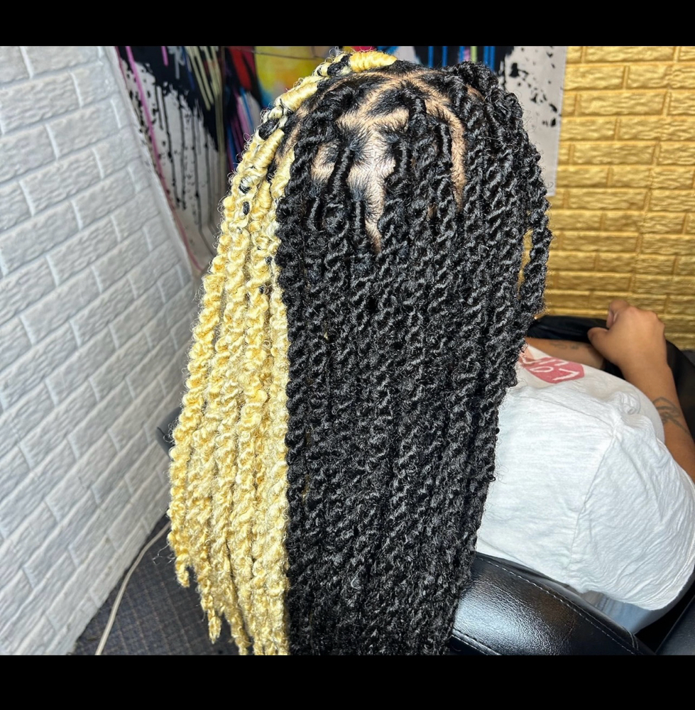 Passion Twist Over Locs