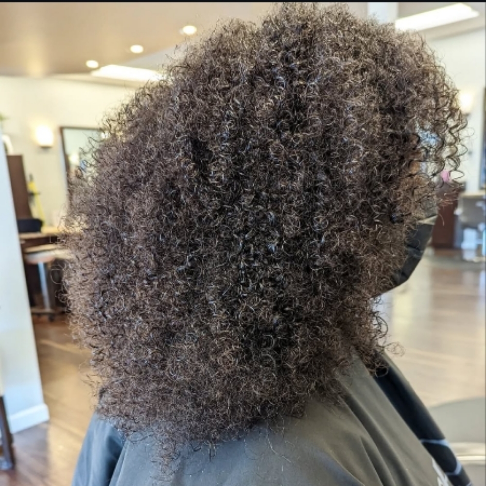 Mizani Aircut at The Enchanted Edge hair studio in Snohomish, WA