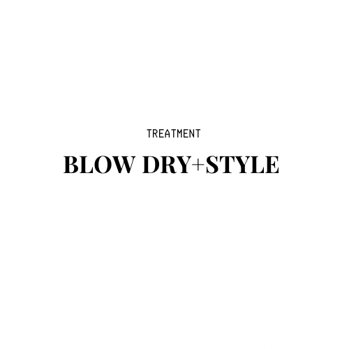 Wash & Blow Dry