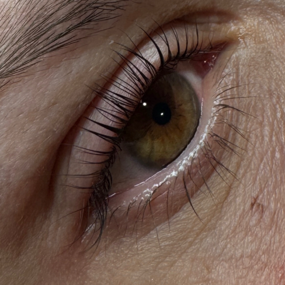 Korean Lash Lift and Tint at Sweet Devotion Esthetics LLC in Pueblo, CO