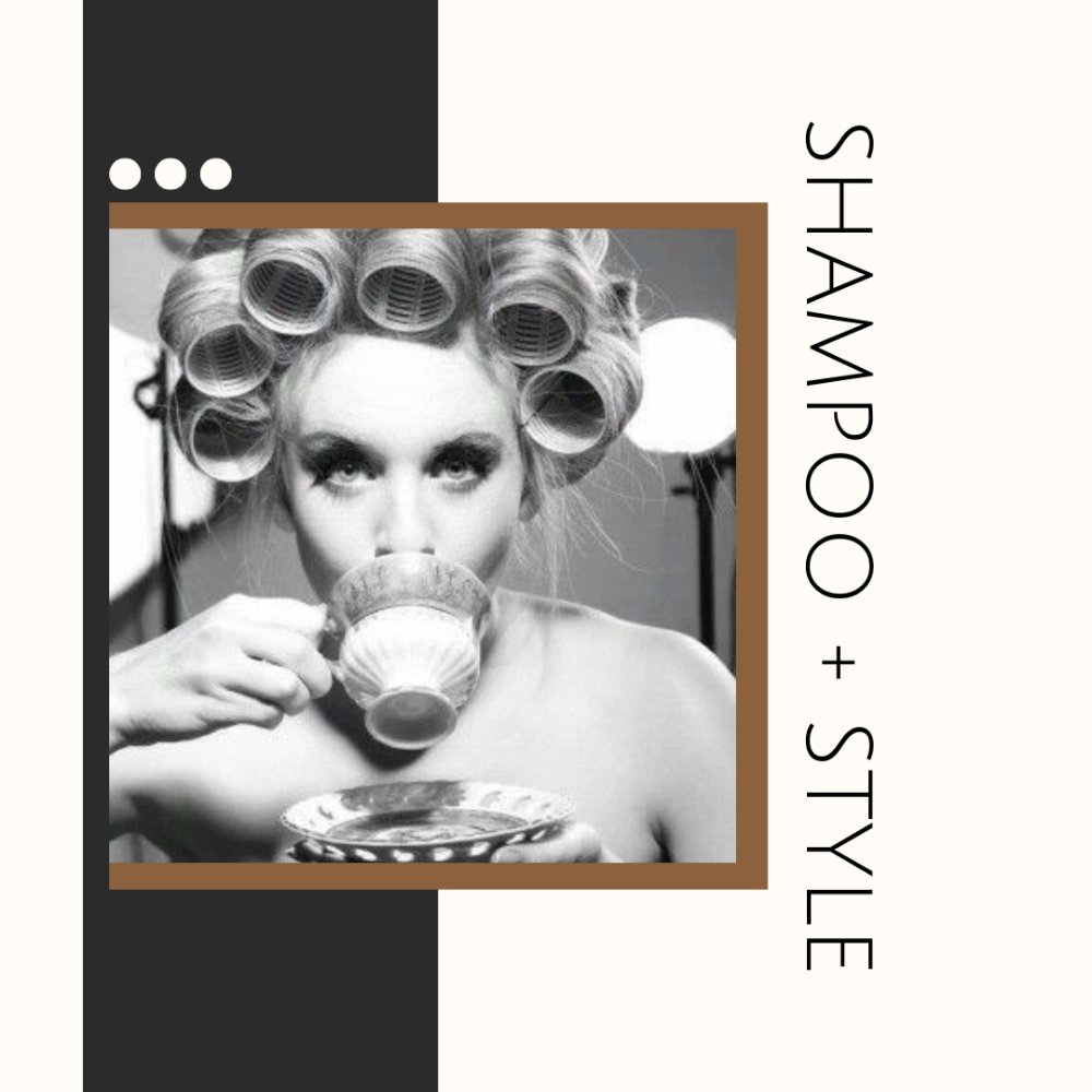 Shampoo + Blowdry Style at Hairtopia in Westminster, CO