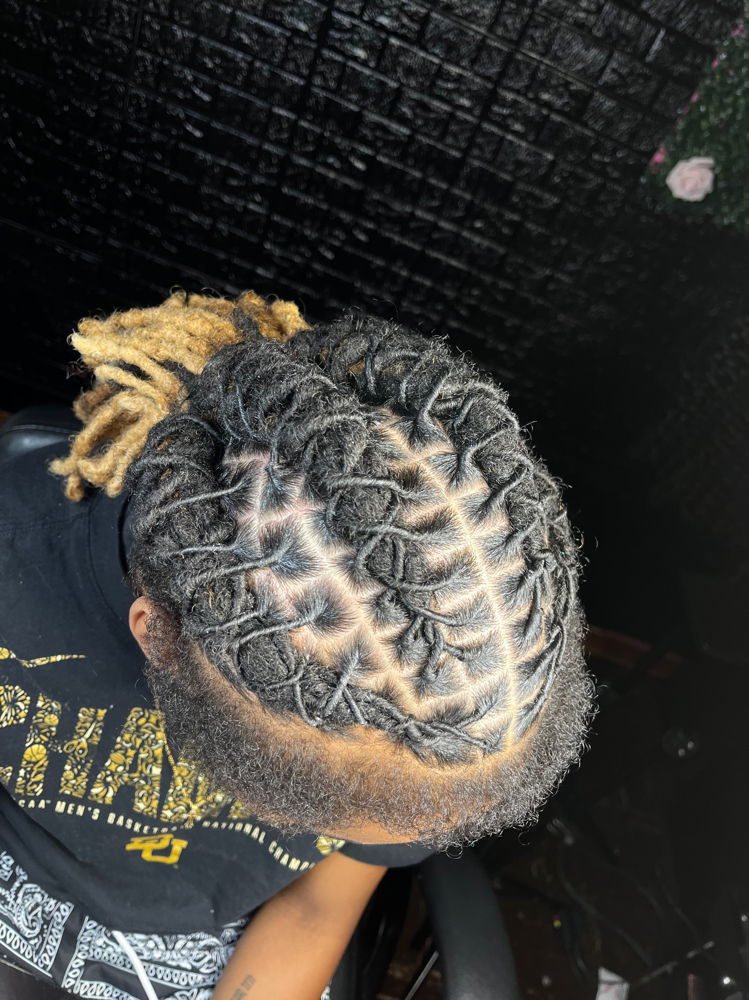 Loc Retwist