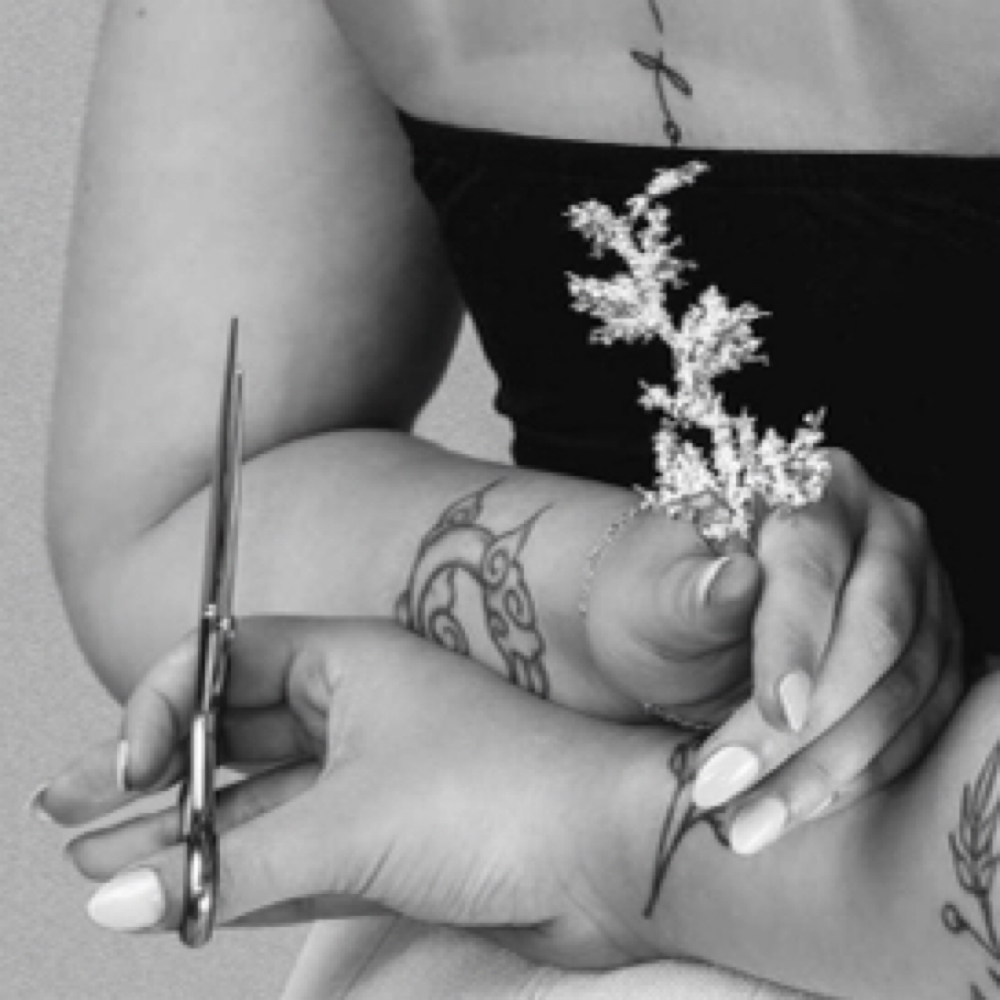 Haircut at Evy Jane Beauty in Brimfield, IL