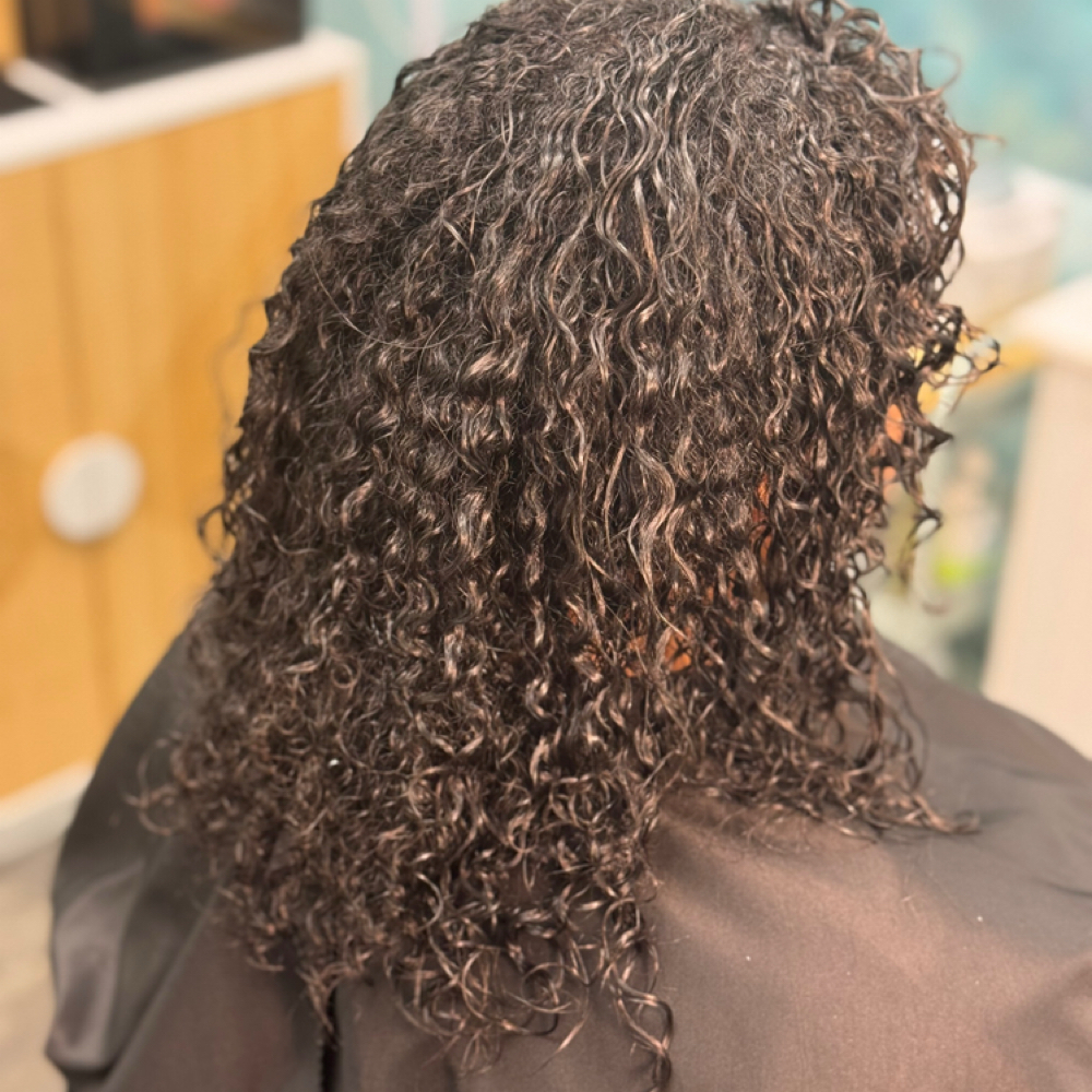 Curly Cut & Style at Shear Artistry by Whitney in St Louis Park, MN