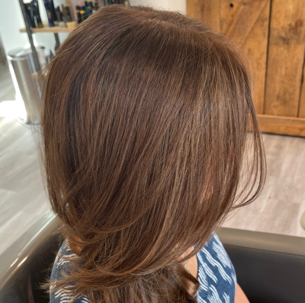 ReBalance (Root Touch-up) at Lori Pal | LV HAIR in Bedford, NH