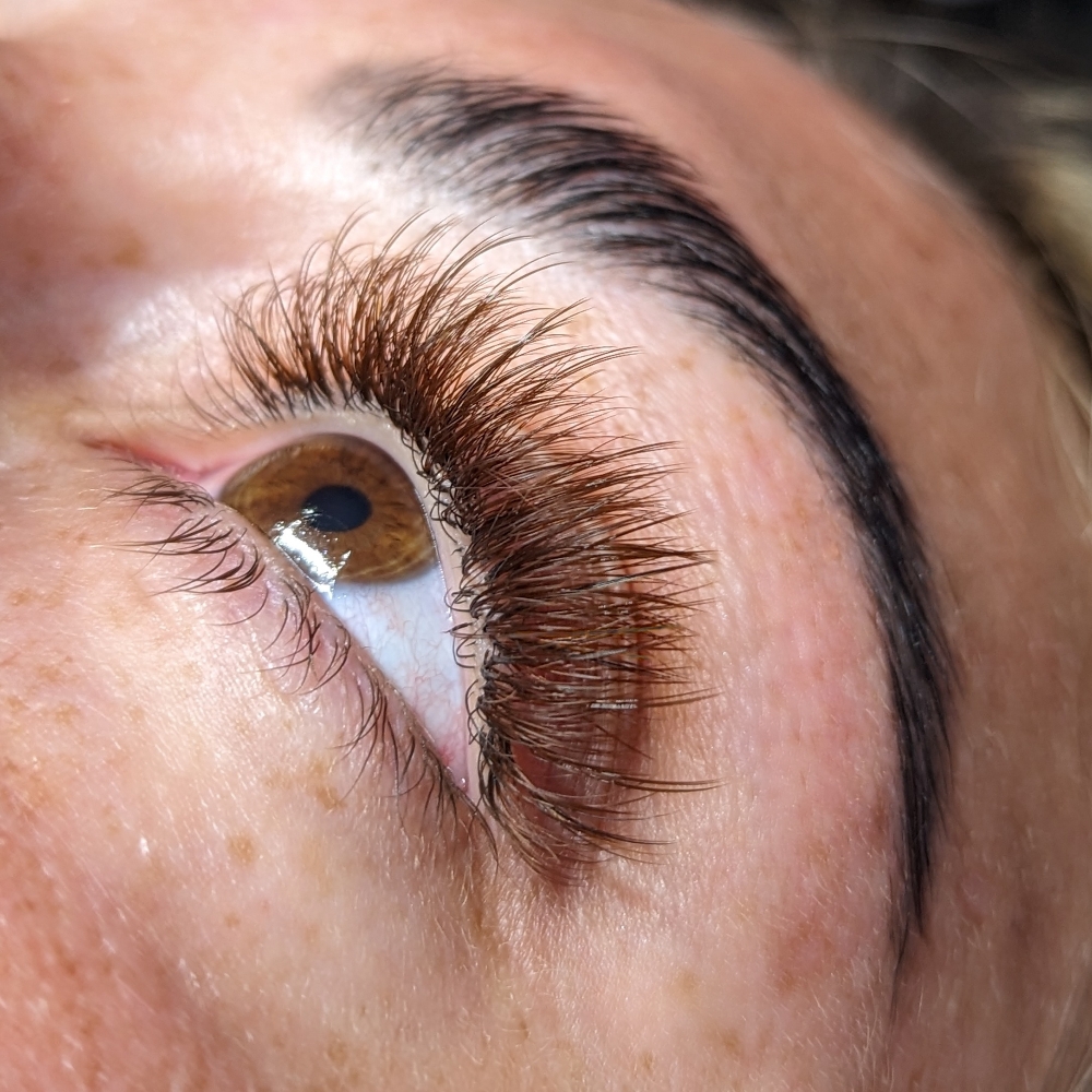 Volume Lash Rehab