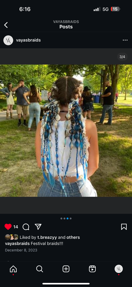 Festival Braids