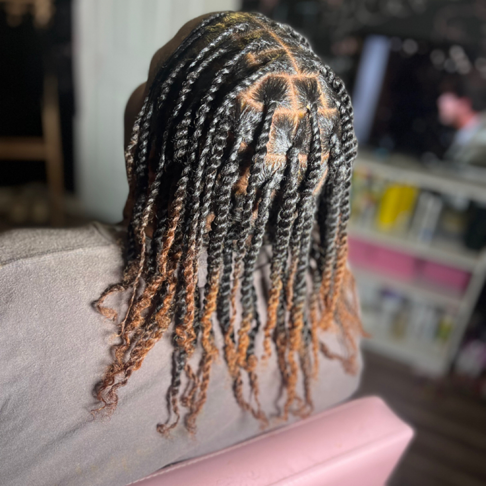 Two Strand Twist