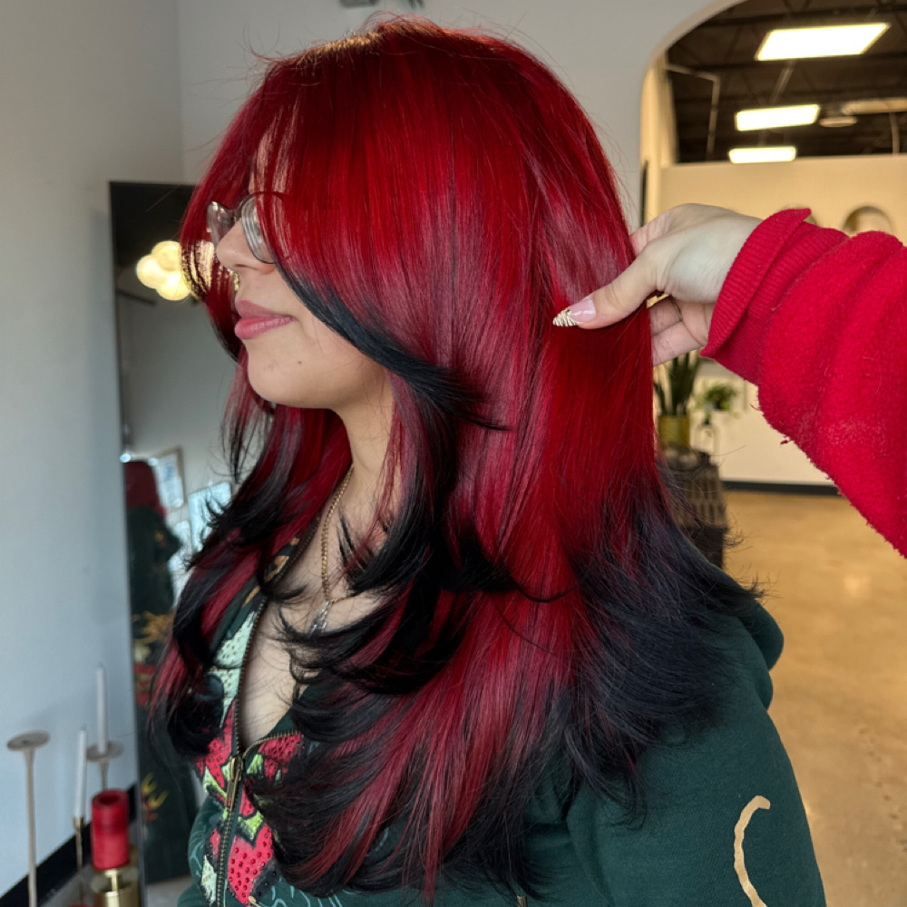 Vivid at hairfairystephh in FortWorth, TX
