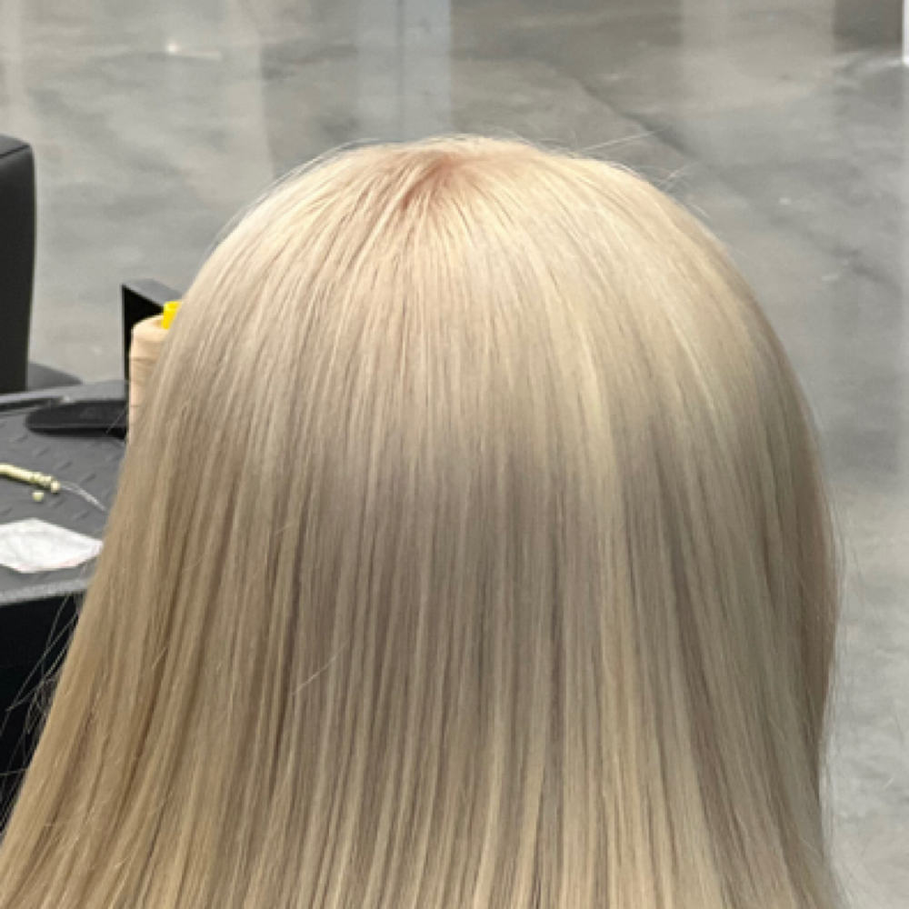 Platinum Root Touch Up at HairdonebyAli in Grantsville, UT