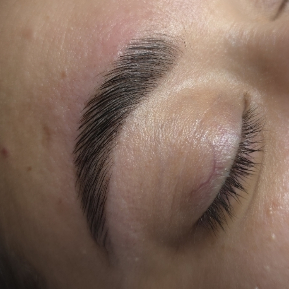 A1 Brow Lami + Tint at Stephs A1 Beauty Bar in Southwest Ranches, FL