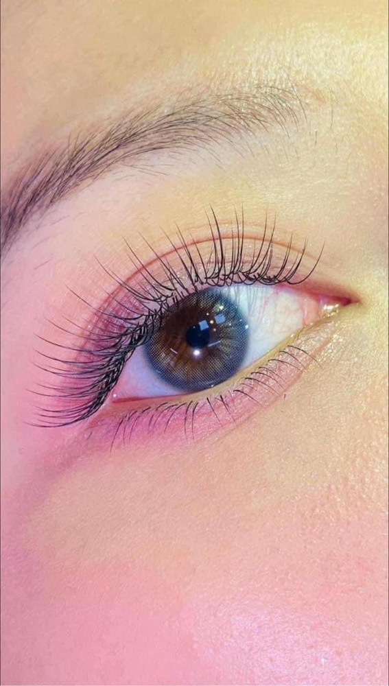 CLASSIC LASH EXTENTIONS at AURORABROWS in Cocoa, FL