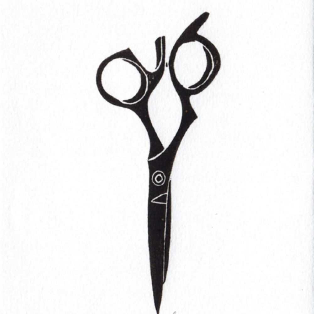 Haircut at Talking Heads Salon in Audubon, PA