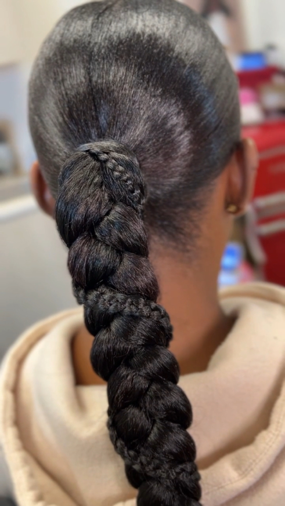 Braid Ponytail w/ Extensions