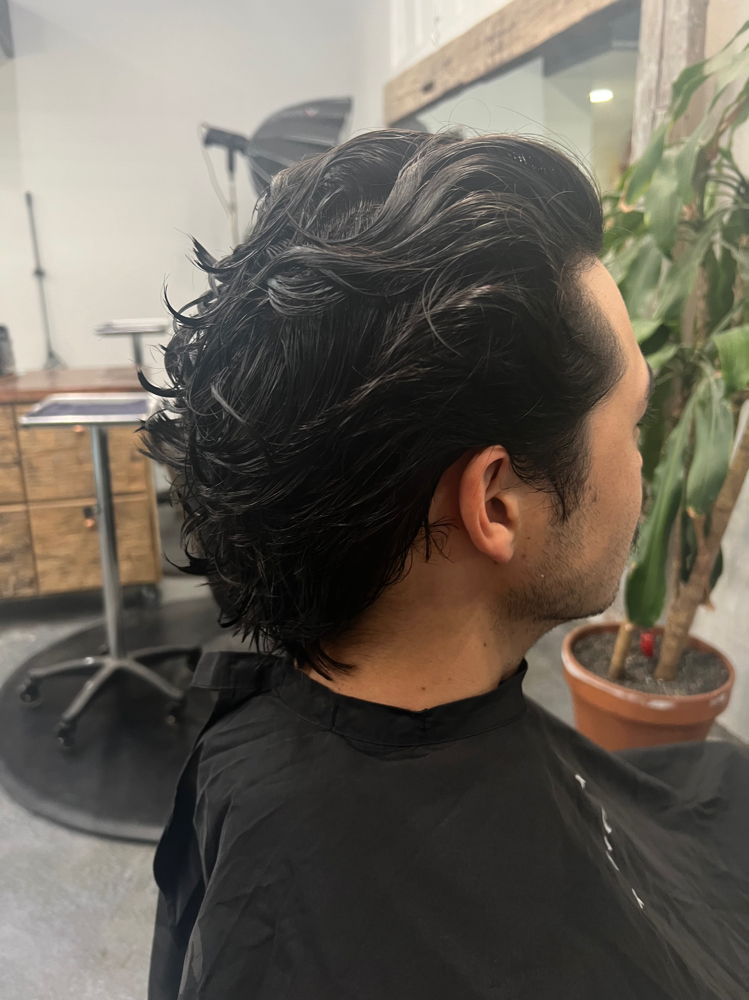 Mens Cut