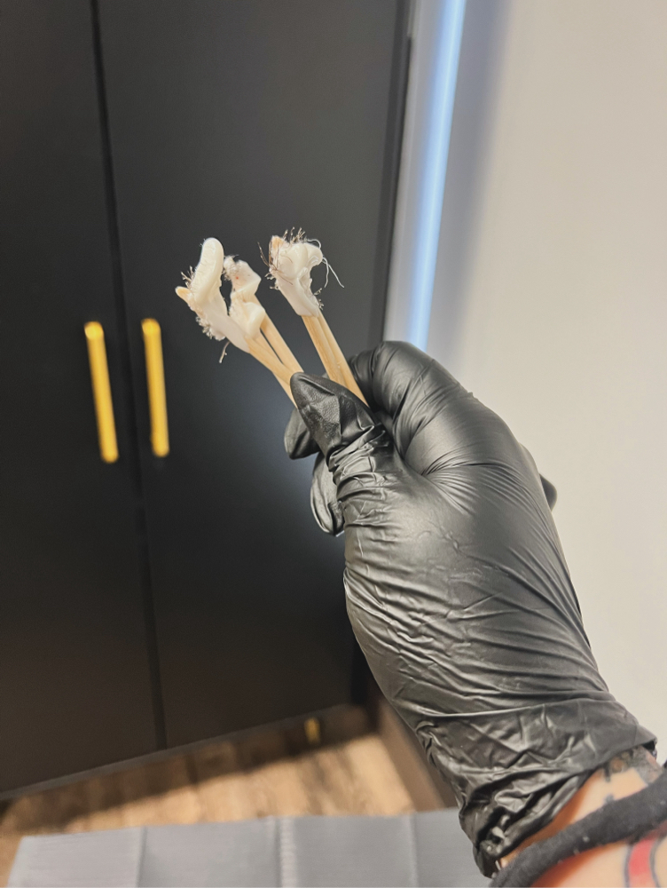 Inner Ear/ Nostril Waxing