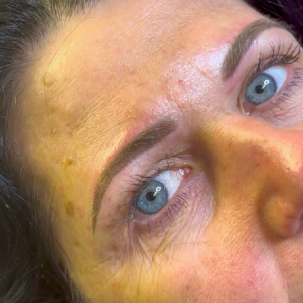 Annual Touch Up Brows at Aliya Renee Beauty in Newark, OH
