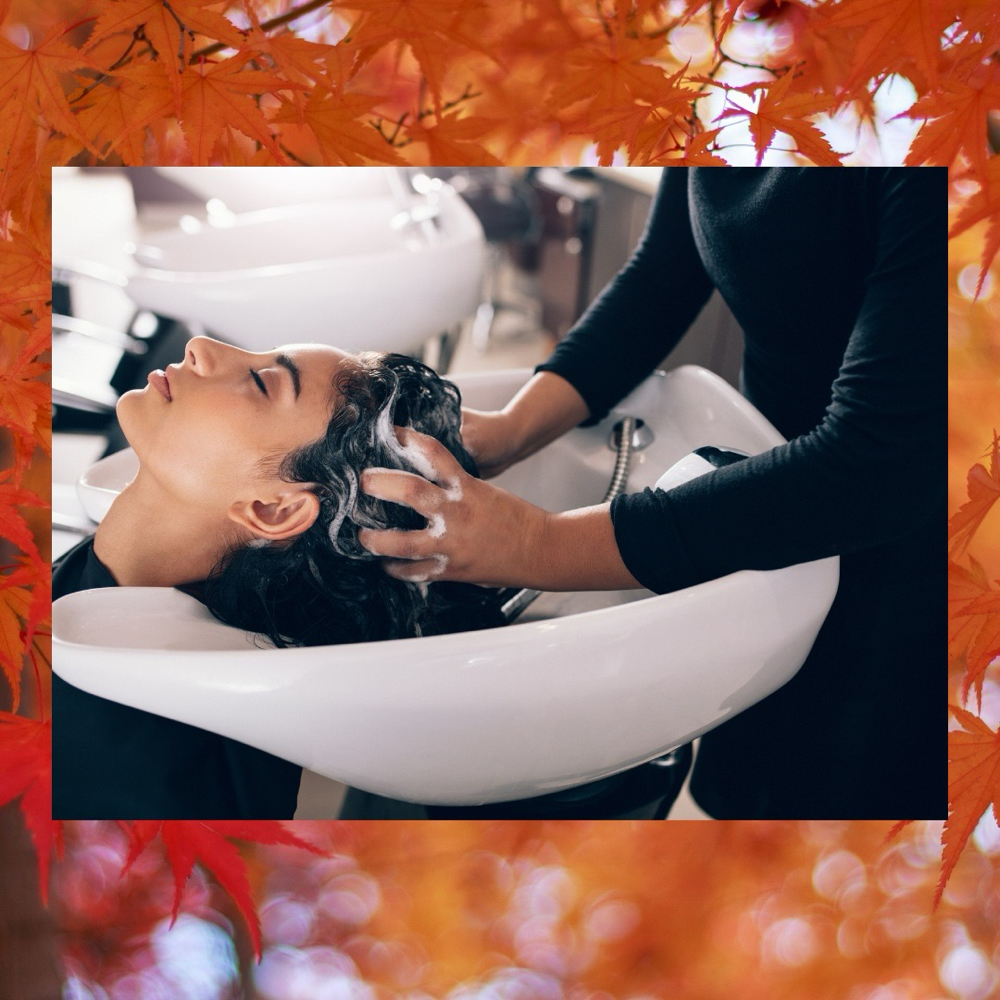 Autumn Reset September Special