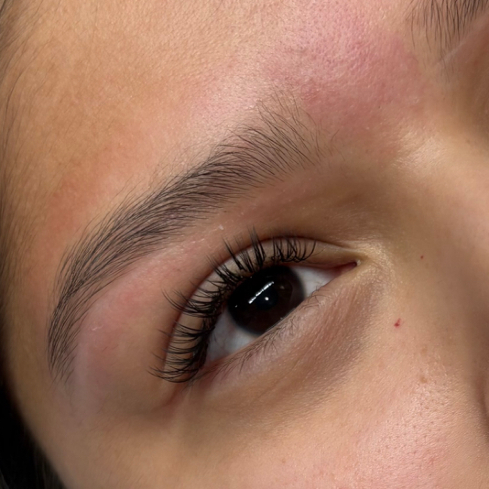 Classic Lash Extensions at Premier Lash Spa & Academy in Effingham, IL