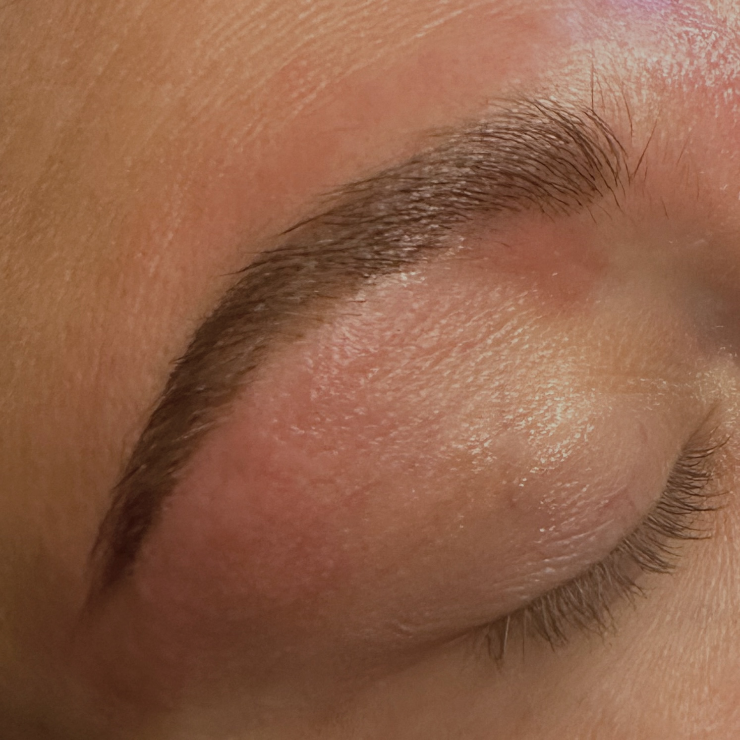 BROW TINT
