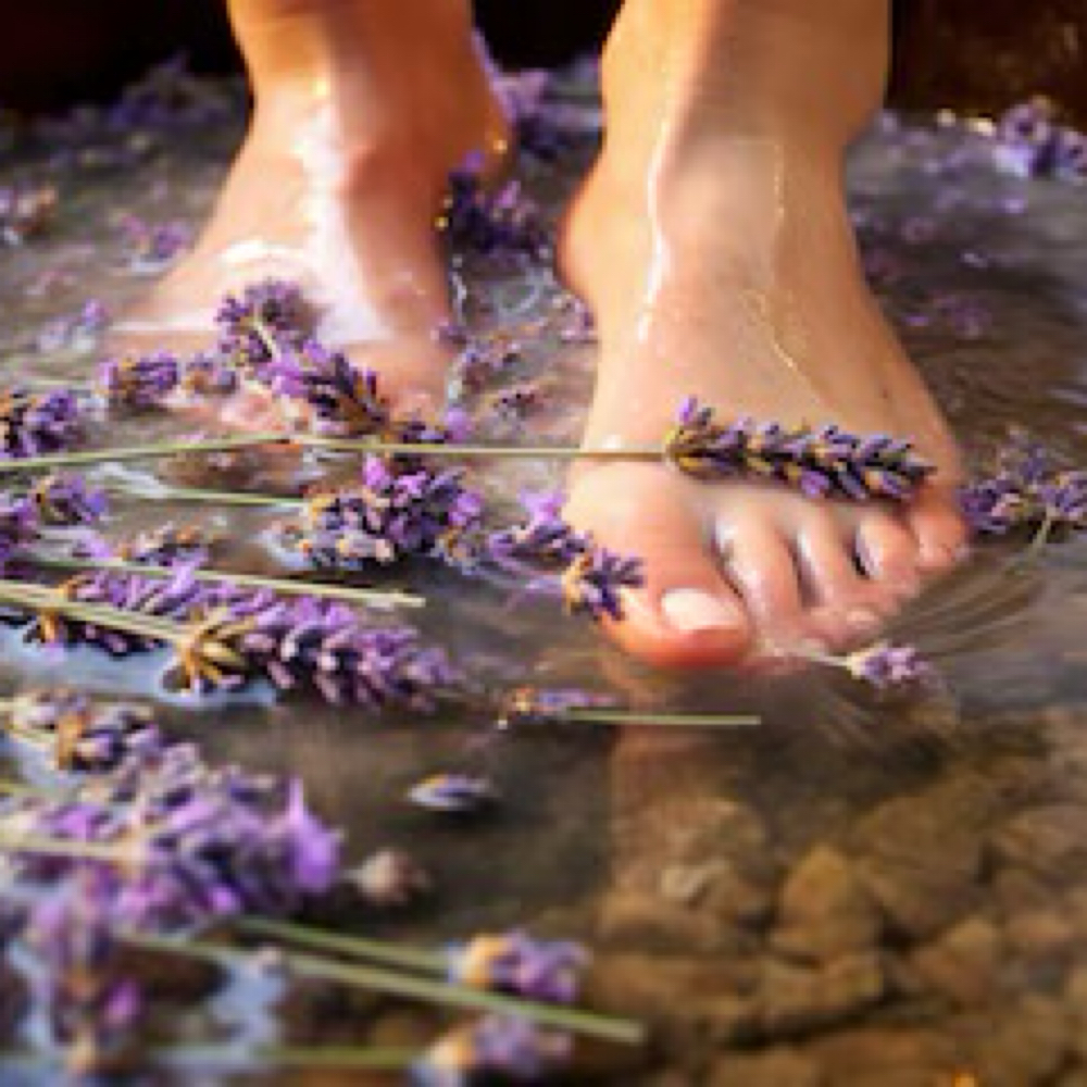 Lavender Refresh Pedicure at Tiff LaNails, LLC in Wesley Chapel, FL