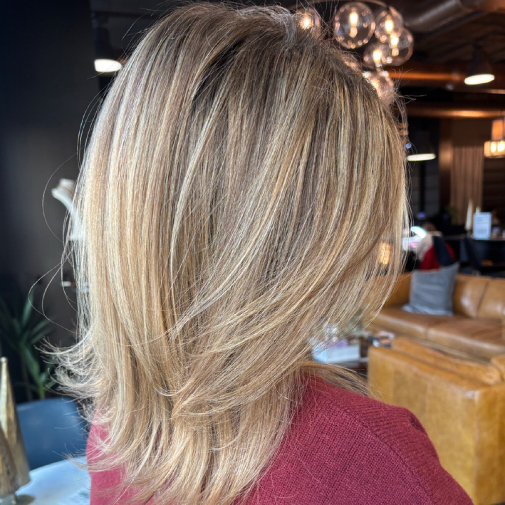 Dry Cut | Current Clients Only | at Kelly Lakeman Hair in Powell, OH