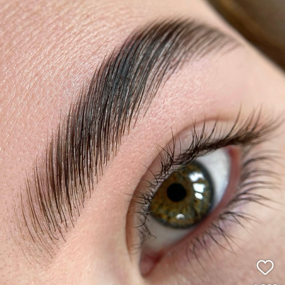 Brow Tint at Q Lashes And Beauty in Roseville, CA