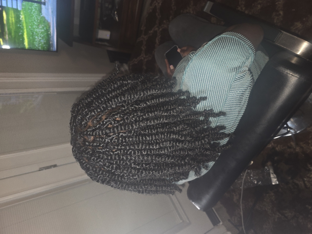 Mini Twist
