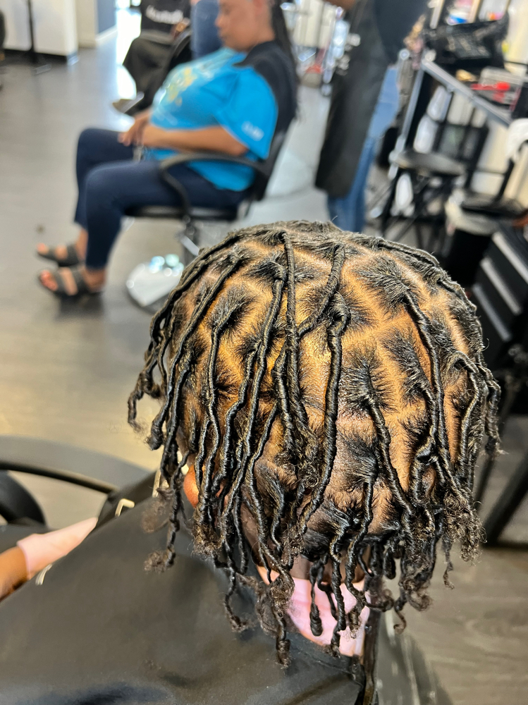 Starter Locs
