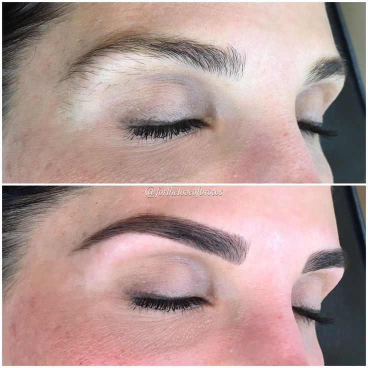 Eyebrow Wax & Tinting