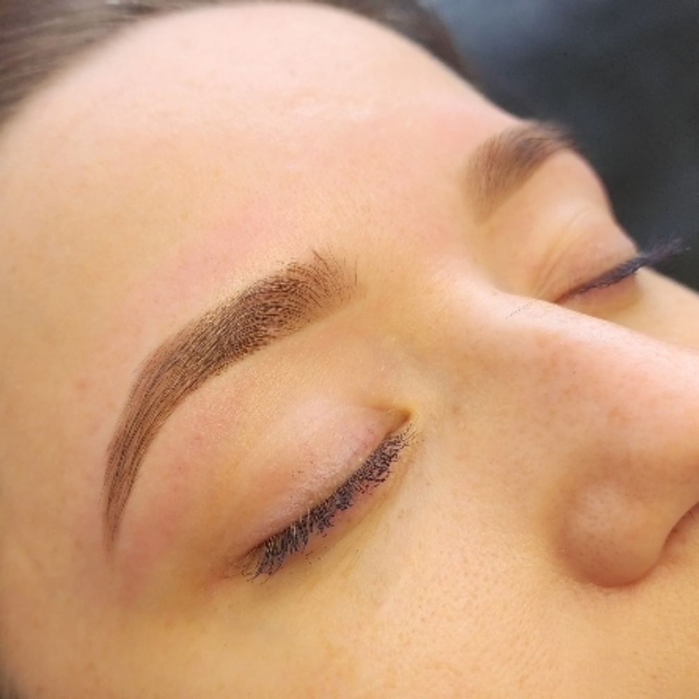 Eyebrow Wax & Tint