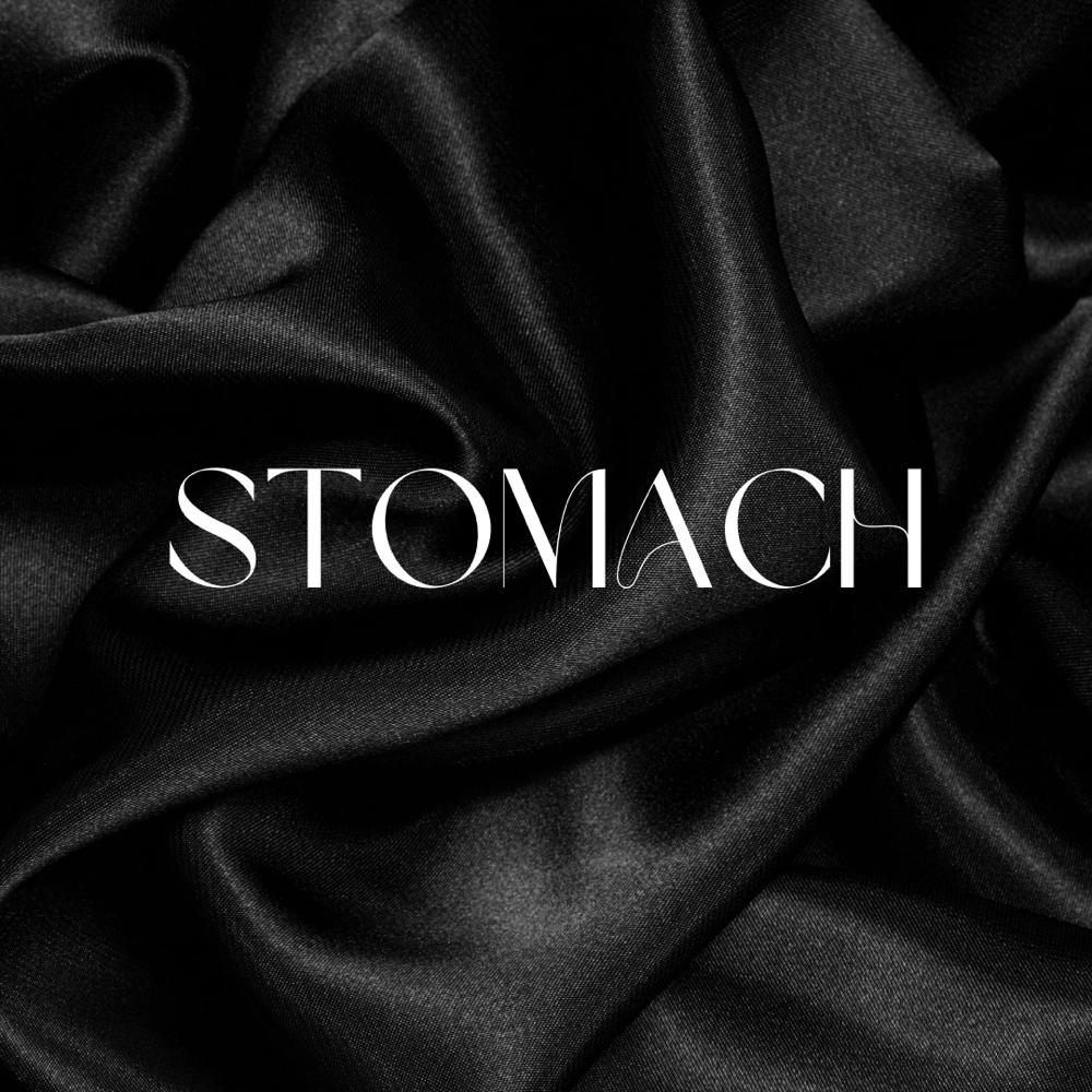 Stomach