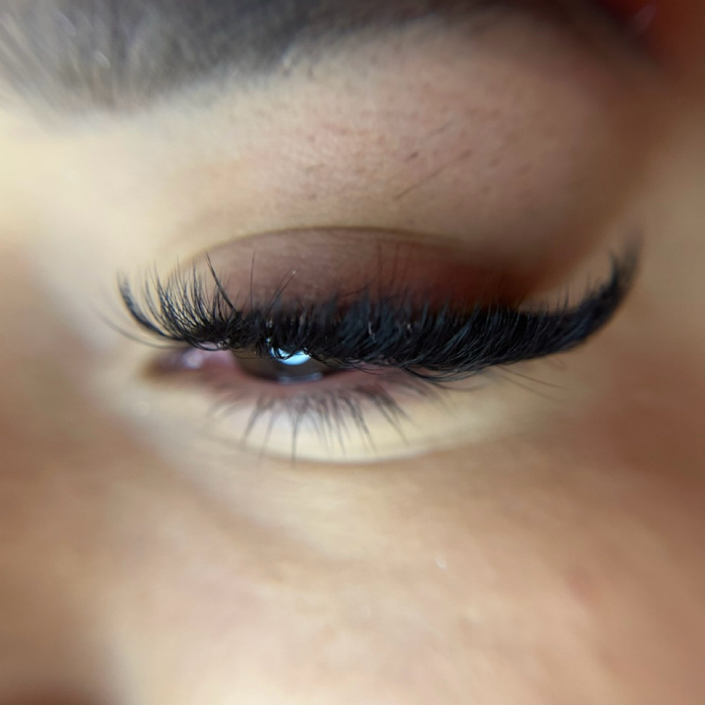 Wet Set at The Empress Lash Bar & Studio in Richardson, TX