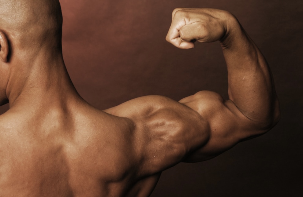 Shoulders