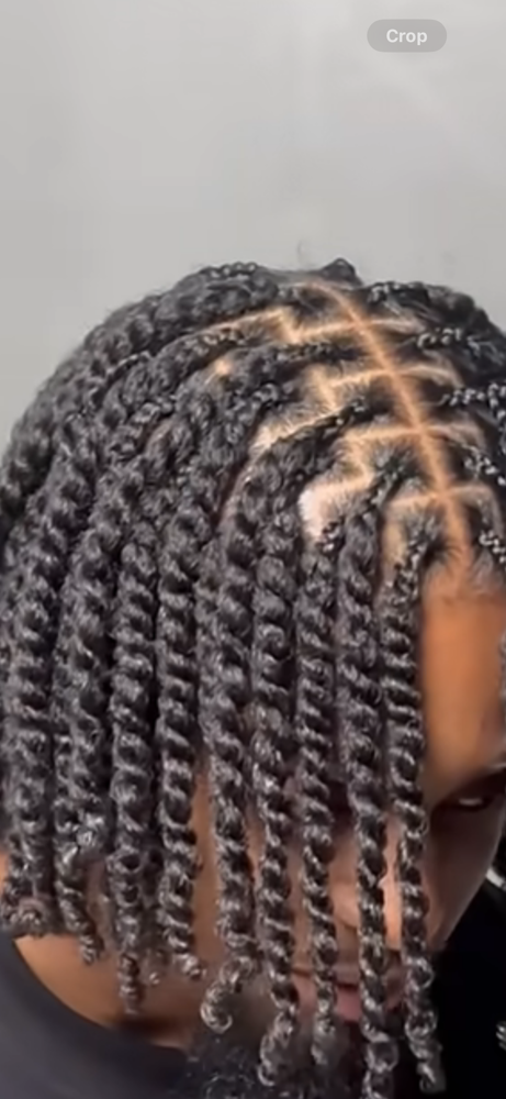 Men two strand twist