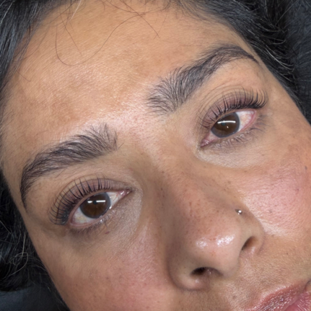 Korean Lash Lift + Lash Tint at Shanella Aesthetics in Hayward, CA